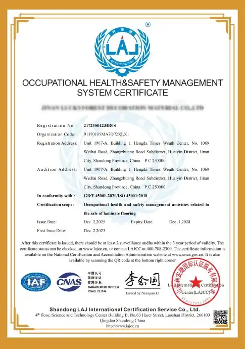Voyage OCCUPATIONAL HEALTH & SAFETY MANAGEMENT SYSTEM CERTIFICATE