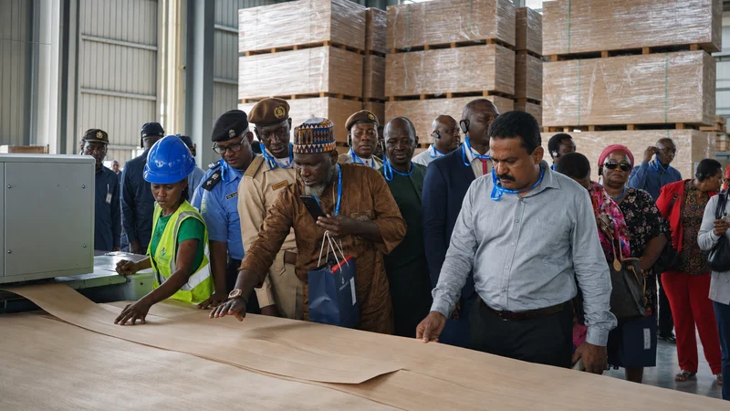 U.S. Hardwood Plywood Sourcing in 2026: How Buyers Can Reduce Landed Risk and Protect Supply Continuity