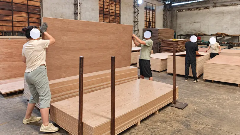 Hardwood Plywood Pre-Shipment Quality Inspection